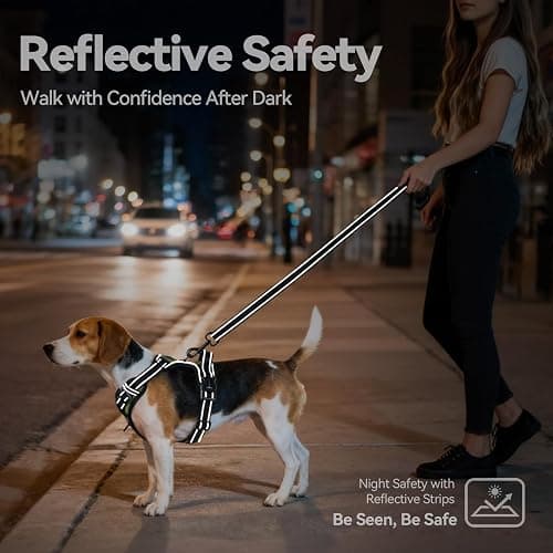 PHOEPET No Pull Dog Harness with Handle Front & Back Clip, Easy on Lockable Snap Buckle at Neck, Adjustable Reflective Vest with Handle for Small Medium Large Dogs (L, Misty Green) thumbnail 6