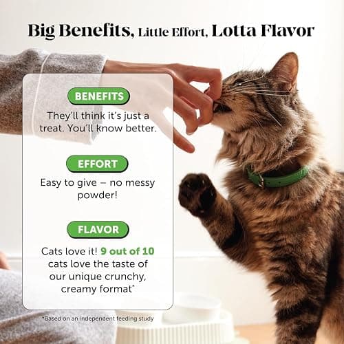 Cat Probiotics Gut + Immune Health Chews – Crunchy & Creamy Cat Treats for Digestive Health, Gut Flora & Constipation Relief – Supports Immunity, Regularity, & Healthy Digestion, 30-Day Supply Chicken thumbnail 4