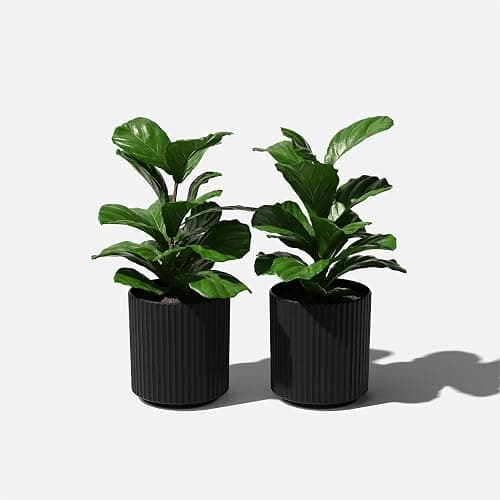 Veradek Demi Series Round Planter for Porch, Patio, Backyard | Durable Plastic-Stone Composite Material | Modern Décor for Tall Plants, Flowers thumbnail 8