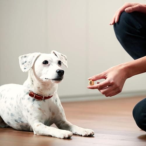 Milk-Bone MaroSnacks Peanut Butter Flavor (Artificially Flavored) Dog Treats with Real Bone Marrow, 40 Oz. Canister (Pack of 2) thumbnail 5