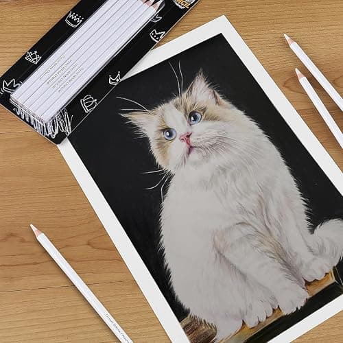 Dyvicl White Charcoal Pencils Drawing Set, 6 Pcs Sketch Highlight Pencil Hard Charcoal White Pencils for Drawing, Sketching, Shading, Blending thumbnail 6