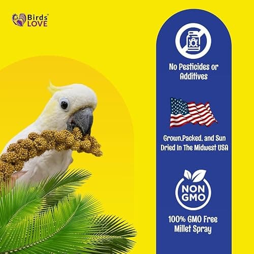 Birds LOVE Millet Tips & Tails for Birds - Parakeets, Cockatiels, Lovebirds, Finches, Budgies, Canaries, Cockatoos - Natural & Healthy Millet for Birds - Parakeet Food & Treats for All Parrots, 1lb thumbnail 6