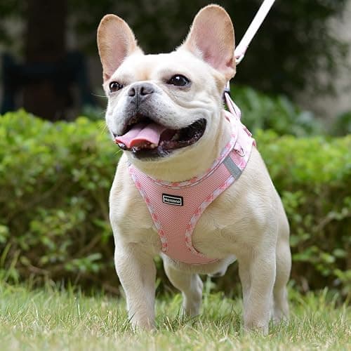 Mercano Soft Mesh Dog Harness and Leash Set, No-Chock Step-in Reflective Breathable Lightweight Easy Walk Vest Harnesses with Safety Buckle for Small Dogs, Cats (Pink, S) thumbnail 4
