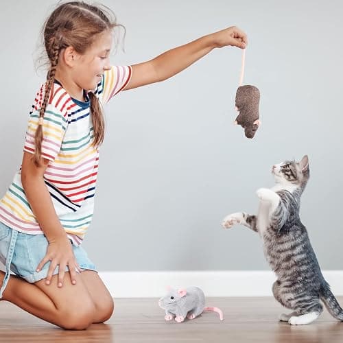 Kasyat 4 Pcs Fake Rat Stuffed Animals 7 Inch Fake Mouse Plush Toys Soft Cuddly Stuffed Mouse Realistic Rat Plushies for Birthday Prank Props April Fools Tricks(Brown, Grey) thumbnail 6