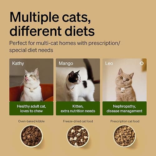 PETLIBRO RFID Automatic Cat Feeder & Water Fountain – Collar Tag Activated, Personalized Feeding & Fresh Water for Multi-Pet Homes, Wi-Fi Programmable Combo with Cat Recognition & Diet Tracking thumbnail 3