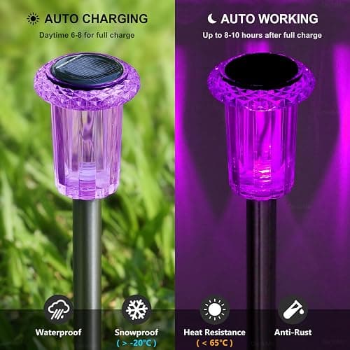 DenicMic Solar Halloween Lights Outdoor Waterproof 10 Pack Halloween Decor | Stake Lights for Yard Pathway Garden Patio Lawn Walkway Driveway, Auto On/Off Purple LED Halloween Decorations Outdoor thumbnail 3