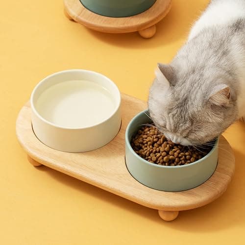 Havniva Raised Cat Bowls Water Bowl 6.1” Elevated Ceramic Cat Food and Water Bowl Whisker Friendly Pet Food Bowls for Indoor Cats, Wide Cat Water Dish Prevent Whisker Fatigue Non Slip Cat Feeder thumbnail 7