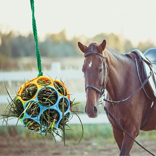 Besimple 2 Pack Horse Treat Ball Hay Feeder Toy, Goat Feeder Ball Hanging Feeding Toy for Horse Goat Sheep Relieve Stress (Colorful) thumbnail 2