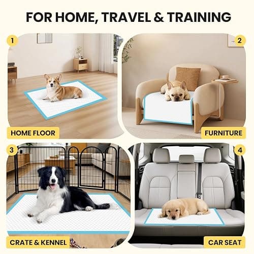 VJJ Puppy Pads 100 Count 30"x26", Great Value Potty Pads for Dogs XL, Large Pee Pads Piddle Pads for Pet Training, Leak-Proof Dog Pee Pads for Doggy Daily Use thumbnail 7