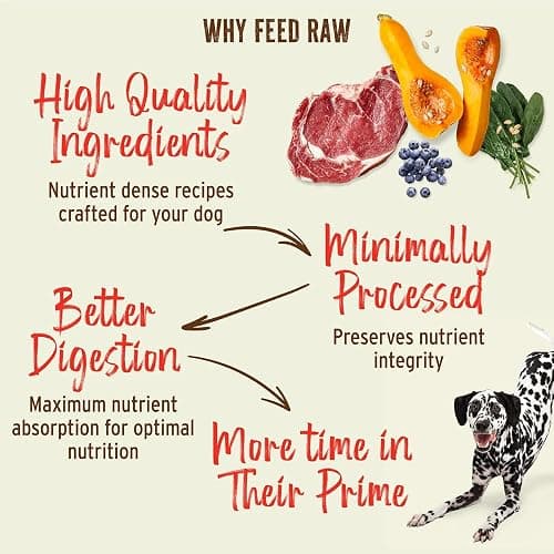Primal Freeze Dried Raw Dog Food Nuggets, Duck, Complete & Balanced Meal, Also Use as Topper or Treat, Premium, Healthy, Grain Free, High Protein Raw Dog Food, 14 oz thumbnail 5
