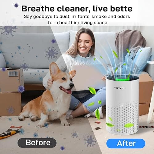 Air Purifiers for Home Bedroom Up to 1250 Ft² - H14 HEPA Air Purifier with Aroma & Sleep Mode - 24dB Small Room Air Purifier for Allergies, Smoke, Dust, Pollen, Pet Dander,4000B,White thumbnail 5