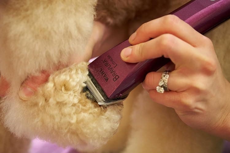 Wahl Professional Animal Bravura Pet, Dog, Cat, and Horse Corded/Cordless Clipper Kit, Purple (#41870-0423) thumbnail 8