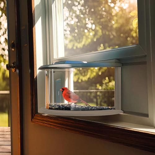 JOYSEUS Window Bird Feeder, 180° Clear View Bird Feeder, Durable and Elegant in-Window Bird Feeder for Watching Birds - Embrace The Delight of Bird Feeder. thumbnail 3