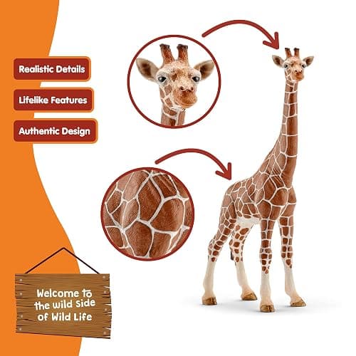 SCHLEICH Wild Life - Realistic 7" Giraffe Animal Toy - Durable Giraffe Figurine for Educational Screen-Free Play - African Safari Wildlife Rescue Animal Figure - Boys and Girls 3+ | 14750 thumbnail 4