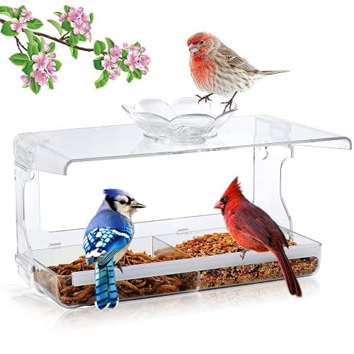 WENMIXER Window Bird Feeder with Non-Marking Self-Adhesive Hooks, Clear and Transparent, Outdoor Wild Bird Watching Gift, Garden Decor (Standard) - Image 1