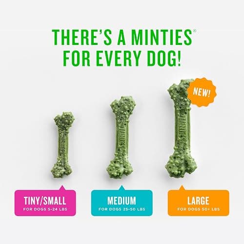 Minties Dog Dental Bone Treats, Tiny/Small Dental Dog Treats, 16 Ounces, Cleans Teeth, Fight Bad Breath, Removes Plaque and Tartar, 40 Count thumbnail 3