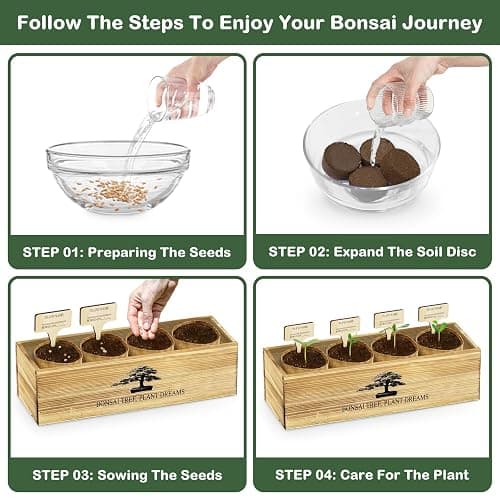 LUOJIBIE Bonsai Tree Kit, Complete Bonzai Tree Starter Kits with Tools, Unique Christmas Birthday DIY Gardening Gifts for Women Mom Men Grandkids, Crafts Hobby Kits, Grow Bonsai Tree Live Indoor thumbnail 4