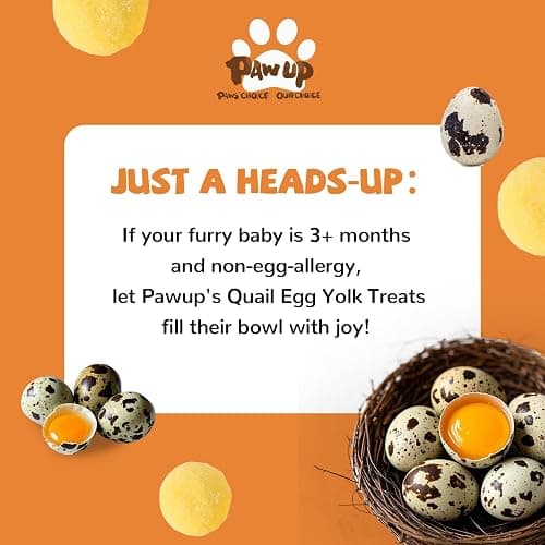 PAWUP Freeze Dried Quail Egg Yolk Pet Treats, Freeze-Dried Pet Food for Dogs, Cats, Pure Fresh Ingredient, 4.2 oz, Rawhide Free, Gluten&Grain Free thumbnail 8