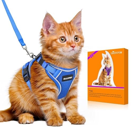 Halypet Cat Harness and Leash Set [MAX Safety 4th-Gen Upgrade] Escape Proof Adjustable Cat Leash Comfortable Soft Vest Easy to Wear Kitten Harness with Reflective Strip for Cats Walking, S Blue - Image 1