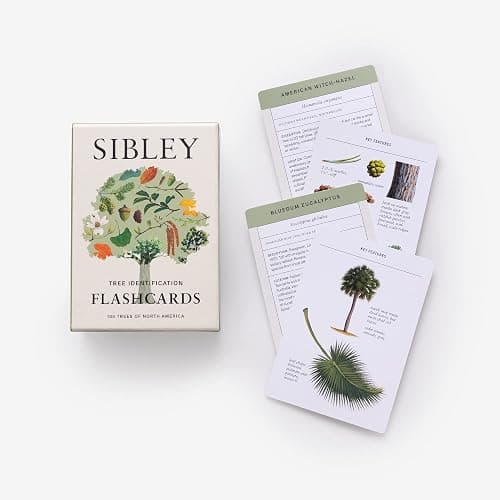 Sibley Tree Identification Flashcards: 100 Trees of North America thumbnail 2