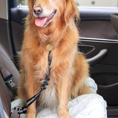 Adjustable Car Seat Belt for Dogs Nylon Seat Belt with Reflective Feature, Durable, 2PCS Comes with Elastic Bungee Pad Pet Car Seat Belt (Black) thumbnail 5