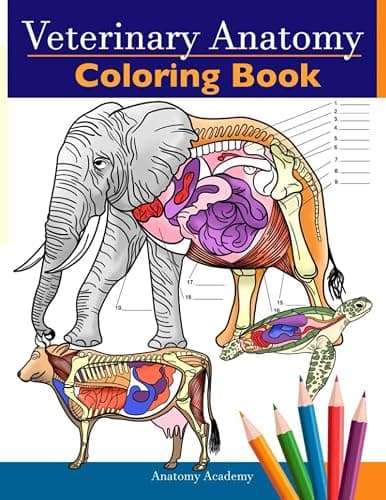 Veterinary Anatomy Coloring Book: Animals Physiology Self-Quiz Color Workbook for Studying and Relaxation | Perfect gift For Vet Students and even Adults - Image 1