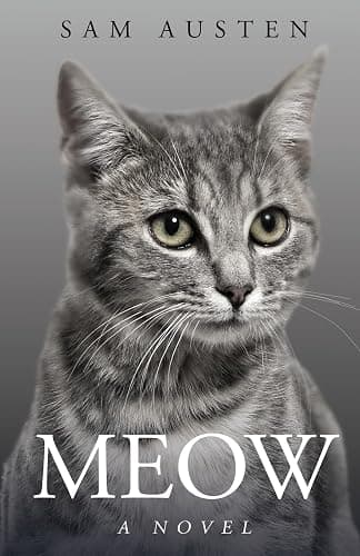 Meow (The Meow Library) - Image 1