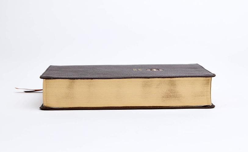 NRSV, Catholic Bible, Journal Edition, Leathersoft, Brown, Comfort Print: Holy Bible thumbnail 4
