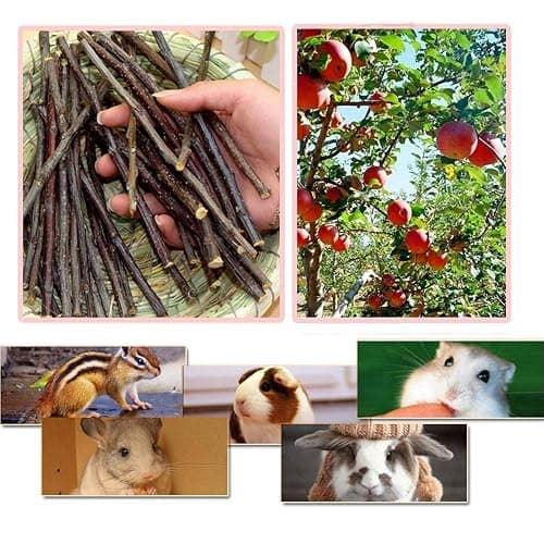 Bojafa 250g Apple Sticks Small Animals Molar Wood Treats Toys for Rabbits Chinchillas Guinea Pig Hamster Gerbil Parrot Bunny and Small Animals Chew Stick Toys Treats thumbnail 2