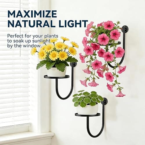 XNGZY Wall Planters for Indoor Plants, 3 Pack Wall Mounted Plant Holder, Metal Plant Floating Decor Shelves, Space Saving, for Bedroom, Living Room, Kitchen, Office, Bathroom Decor thumbnail 7