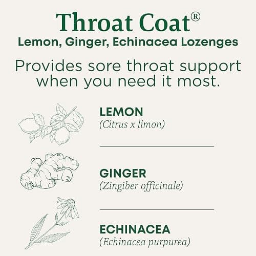 Traditional Medicinals Lozenges, Organic Throat Coat Lemon Ginger Echinacea, Sore Throat Support, 30 Individually Wrapped Lozenges thumbnail 2