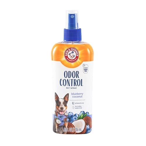 Arm & Hammer for Pets Odor Control Spray for Dogs, Blueberry Coconut, Odor Eliminating Dog Spray, Dog Deodorizer, 8 Fl Oz - Image 1