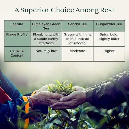 VAHDAM, Himalayan Green Tea Leaves (50+ Cups, 3.53 Oz) Non GMO, Gluten Free | High Elevation Grown Green Tea Leaves From Himalayas | Pure Unblended Single Origin Green Loose Leaf Tea | Vacuum Sealed thumbnail 3