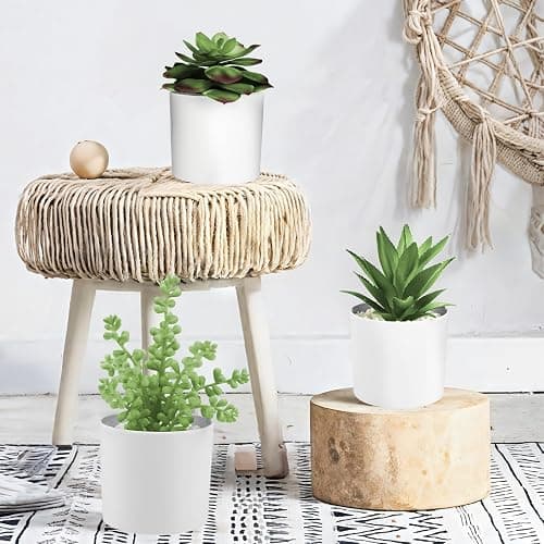 Hopewood Succulent Plants Artificial in White Pots Small Faux Potted Succulents Fake Plants in Vase Set of 3 thumbnail 6