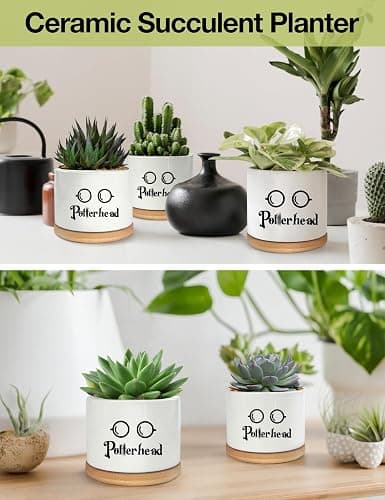 PWHINGN Funny Ceramic Succulent Planter Pots with Drainage Bamboo Tray, Office Windowsill Decor Indoor, Funny Plants Pots Desk Accessories for Plant Lovers Mom Friends Teacher (Not Plants) thumbnail 3