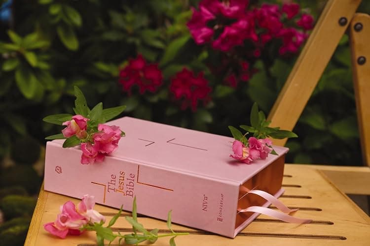 The Jesus Bible, NIV Edition, Leathersoft over Board, Pink, Comfort Print: Sixty-Six Books. One Story. All About One Name. thumbnail 4
