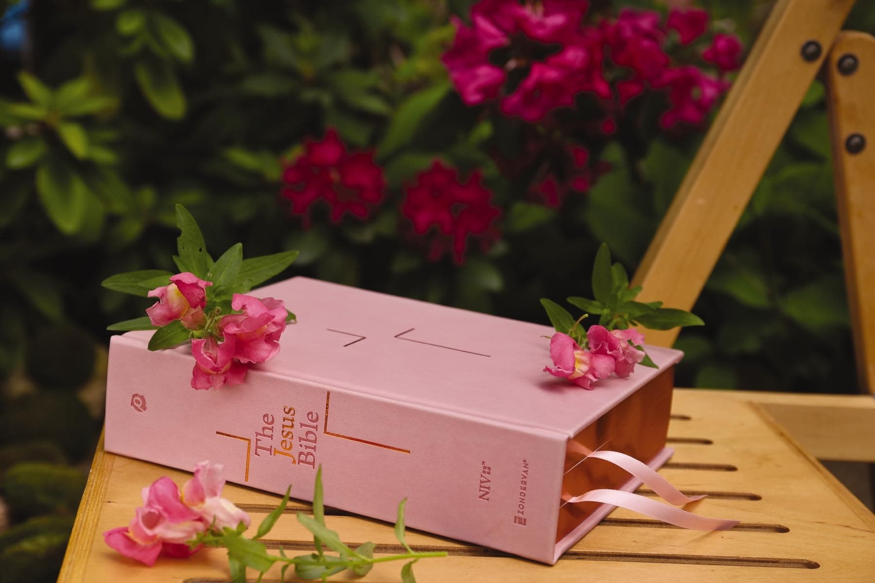 The Jesus Bible [NIV Edition, Pink] thumbnail 3