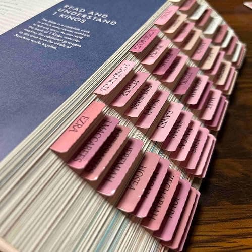 Catholic Bible Tabs, Reposition Laminated Stickers, Easy to Read and Apply Bible Tabs for Women and Man (Catholic Pink) thumbnail 3