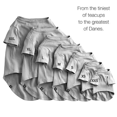 Pet Passion Toby II - The Perfect Tee, 3 Pack Short Sleeve Pet T-Shirt 100% Organic Cotton Tees Clothes for Small, Medium, Large Dogs​​, Gray Ombre, Medium (20-45 lbs) thumbnail 6