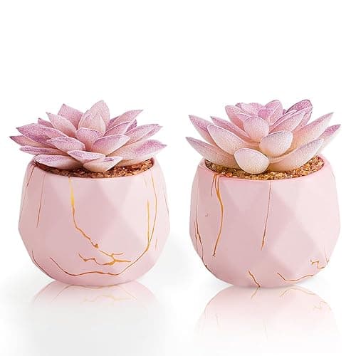 ZENIDA Artificial Succulent Plants in 2 Pink Ceramic Pots, Cute Fake Plants for Vanity Decor,Office, Desk, Bathroom, Kitchen,Bedroom, Shelves Decor for Women,Girls Gift - Pink