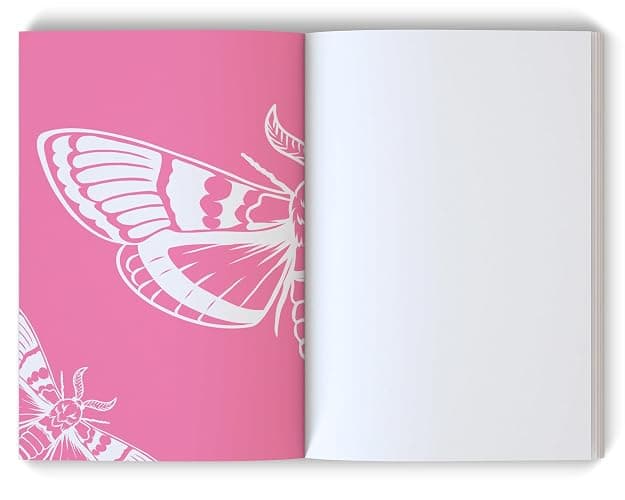 Can You Take It? (Deluxe Edition) (Infatuated Fae, 4) thumbnail 2