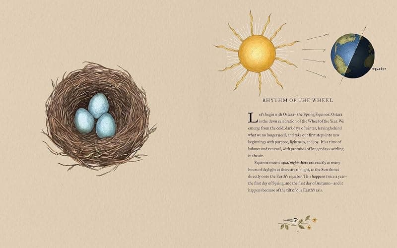 The Wheel of the Year: An Illustrated Guide to Nature's Rhythms thumbnail 6