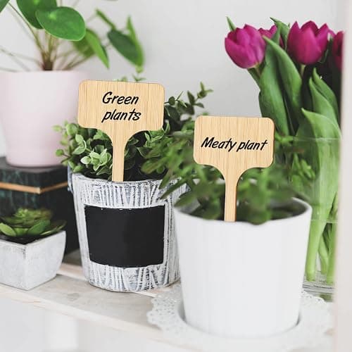 KINGLAKE GARDEN Bamboo Plant Labels,Plant Labels Garden Tags 60 Pack T-Type Wooden Plant Sign Tags Vegetable Garden Markers for Plants(6.5 X 10 cm) thumbnail 3
