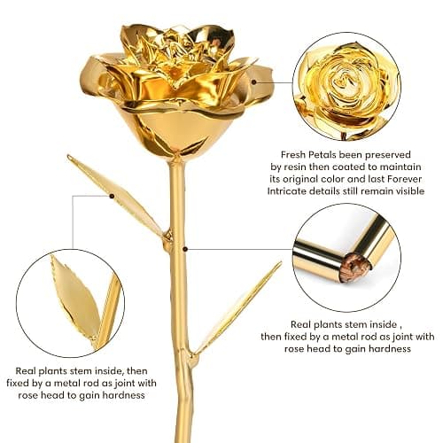 Anthonic Gold Dipped Rose Real 24K Gold Rose, Genuine One of a Kind Rose Hand Dipped in 24K Golden Roses Romantic Gifts for Women in Her Birthday Anniversary Valentines Day Mothers Day thumbnail 3