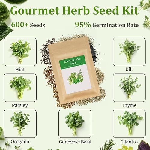 10-Set Indoor Herb Garden Starter Kit, 7 Seeds Growing into Basil, Parsley, Thyme, Mint, Cilantro, Dill, Oregano Including 10 White Pots, Markers, Nutritional Soil, Ideal Christmas Gifts for Women thumbnail 3
