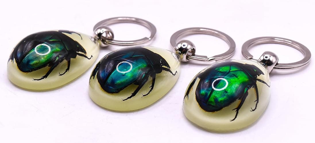 HQRP-Crystal 45mm Real Emerald Green Chafer Beetle in Glow in The Dark Lucite Keychain Insect Animal Taxidermy Sample Inside for Biology Science Education Decoration Tear Drop Key Ring Chain Pendant thumbnail 9