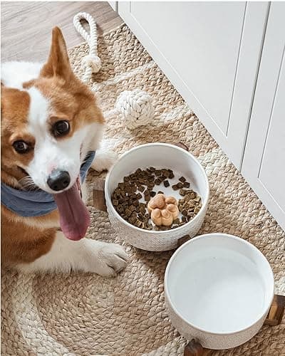 Dog Bowls Ceramic for Small Medium Dogs - 3-Cup Dual Food & Water Bowl Set with Acacia Wood Stand, Non-Slip Anti-Tip Elevated Design thumbnail 6