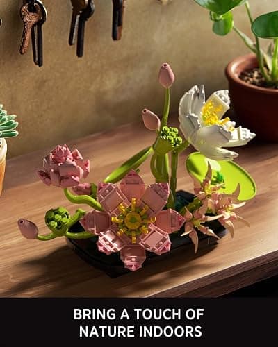 Nifeliz Botanicals - Fleurs Lotus thumbnail 5