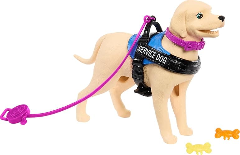 Barbie Doll & Playset with Service Dog, Pink Wheelchair, Ramp & Accessories, Brunette Fashion Doll in Removable Outfit thumbnail 3