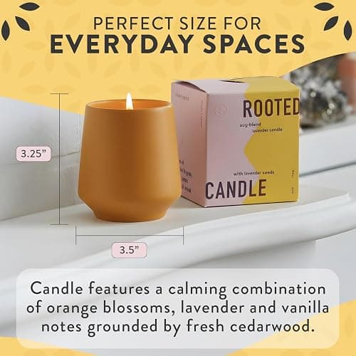 Modern Sprout Rooted Candle - 2 in 1 Scented Cedarwood 6 oz Christmas Soy Candle with Lavender Plant Seeds, 42 hr Burn Time in Matte Glaze Ceramic Vessel, Indoor Herb Garden Kit, Holiday Gift & Decor thumbnail 6